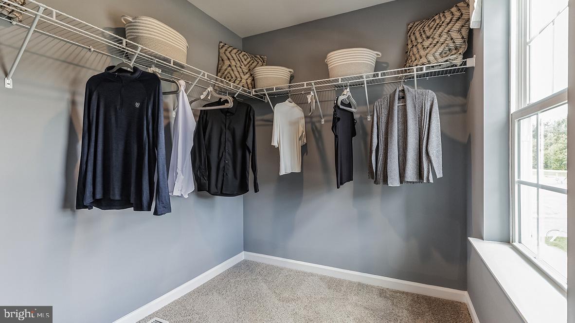 1195 Susan Cir Property Photo 17