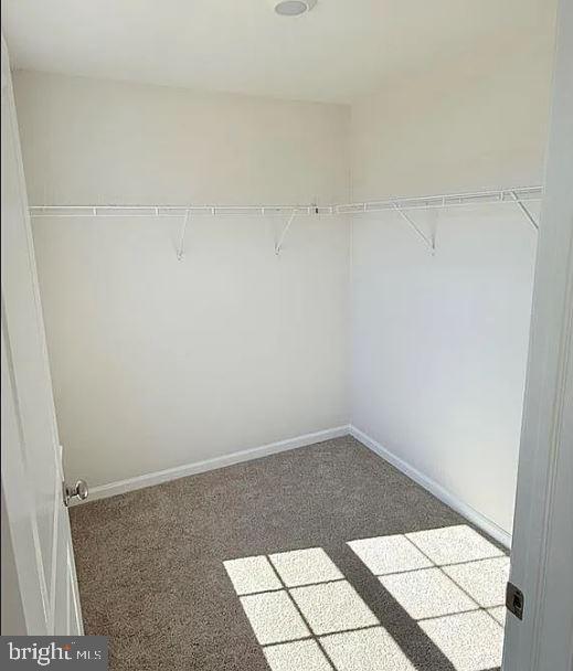 1175 Susan Cir Property Photo 7