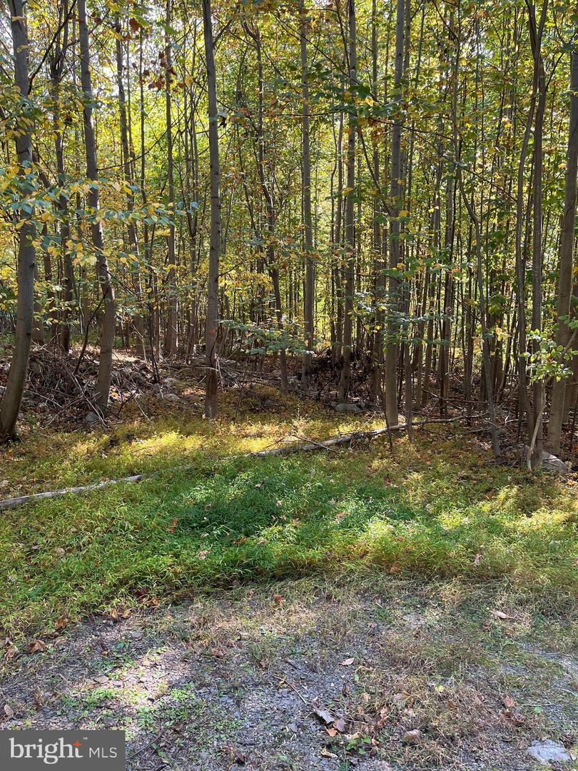 7893 Leaser Rd Property Photo 2