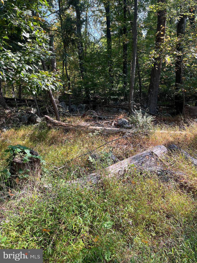 7893 Leaser Rd Property Photo 3