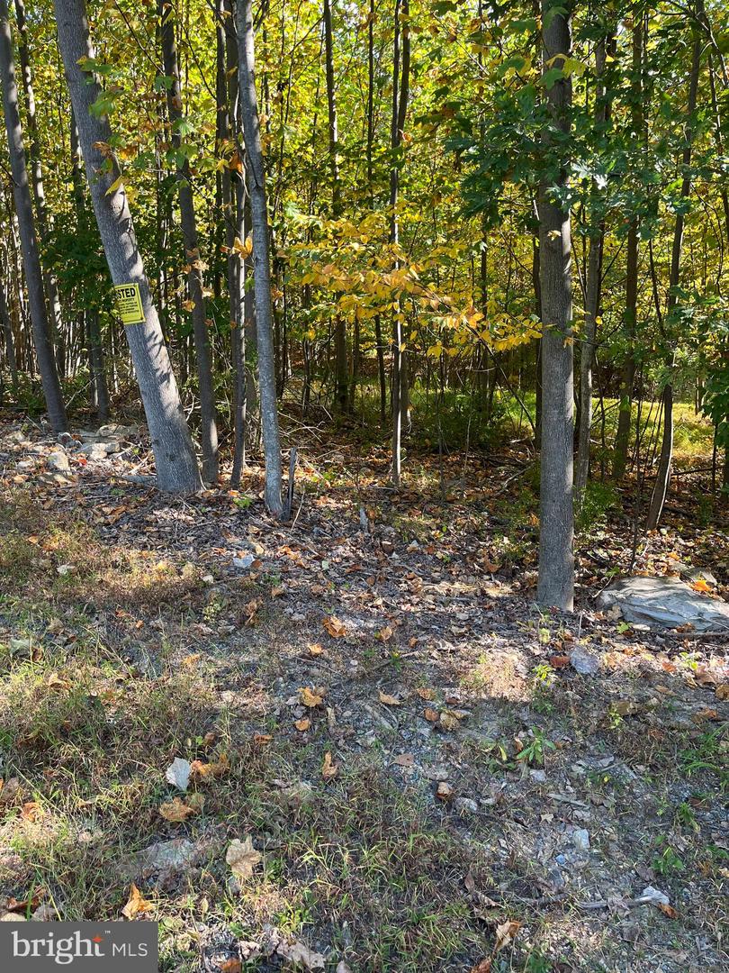 7893 Leaser Rd Property Photo 4