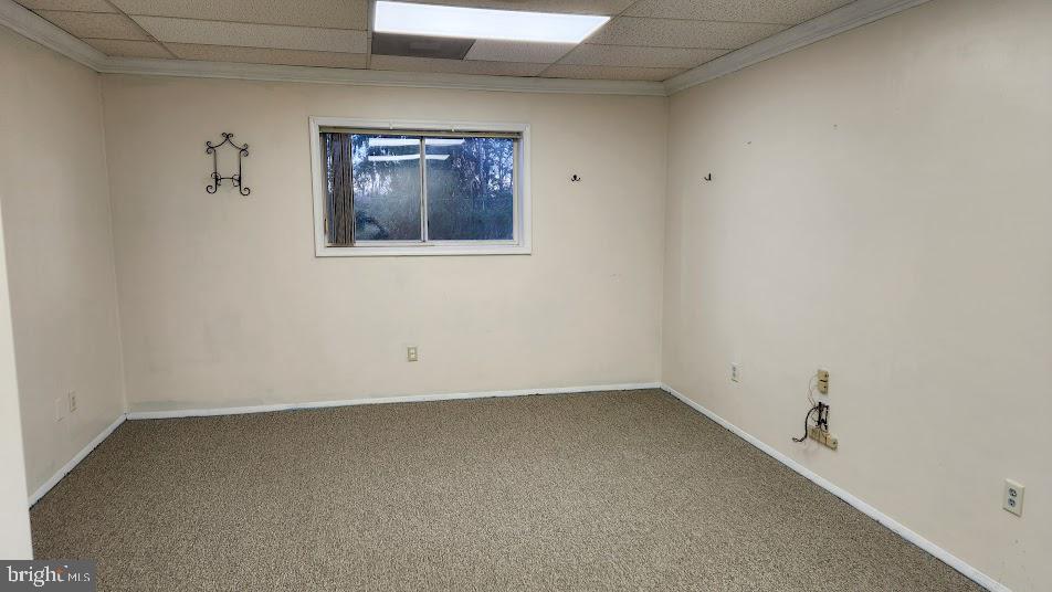 2814 Walbert Ave Property Photo 8