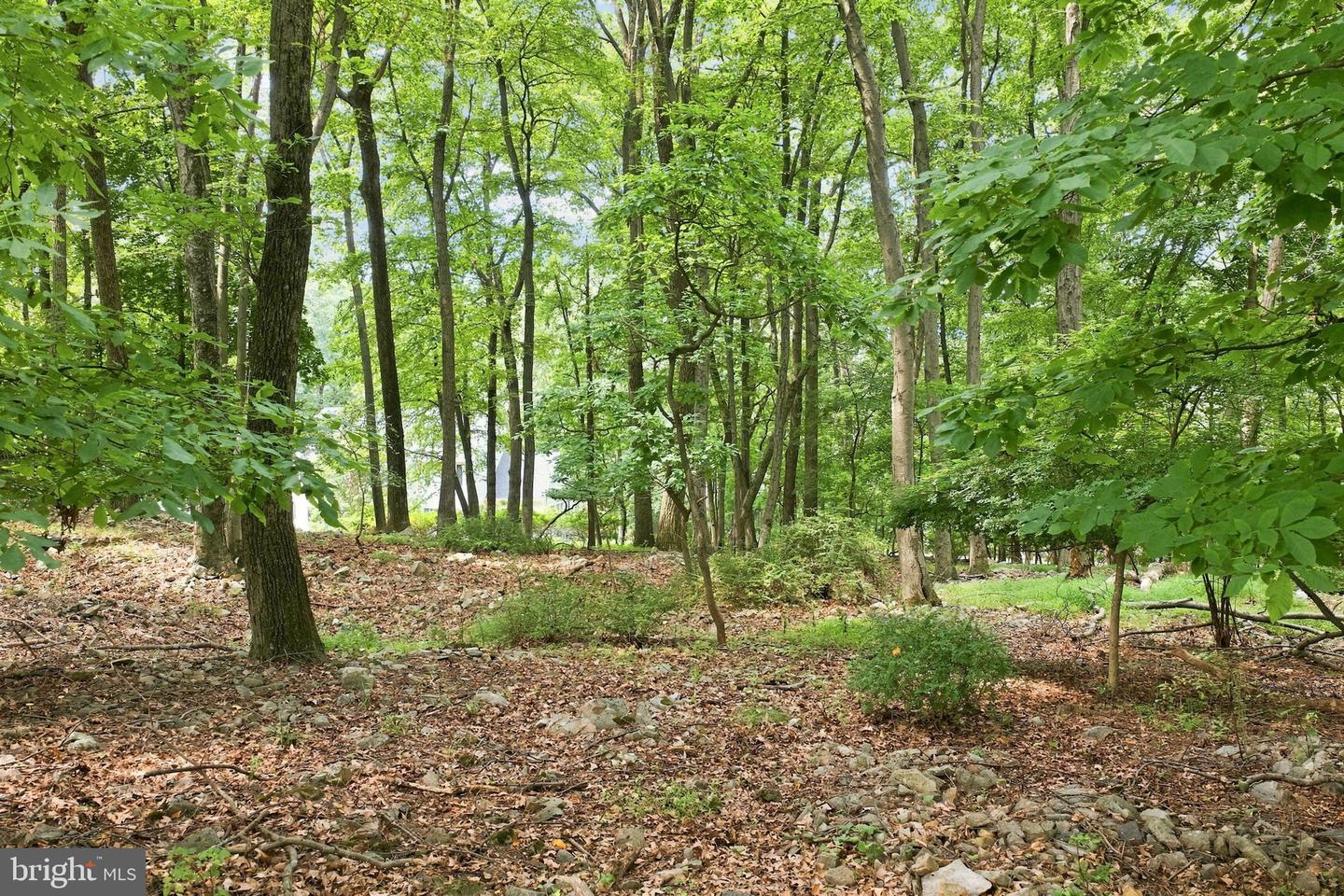 2550 Ballybunion Property Photo 6