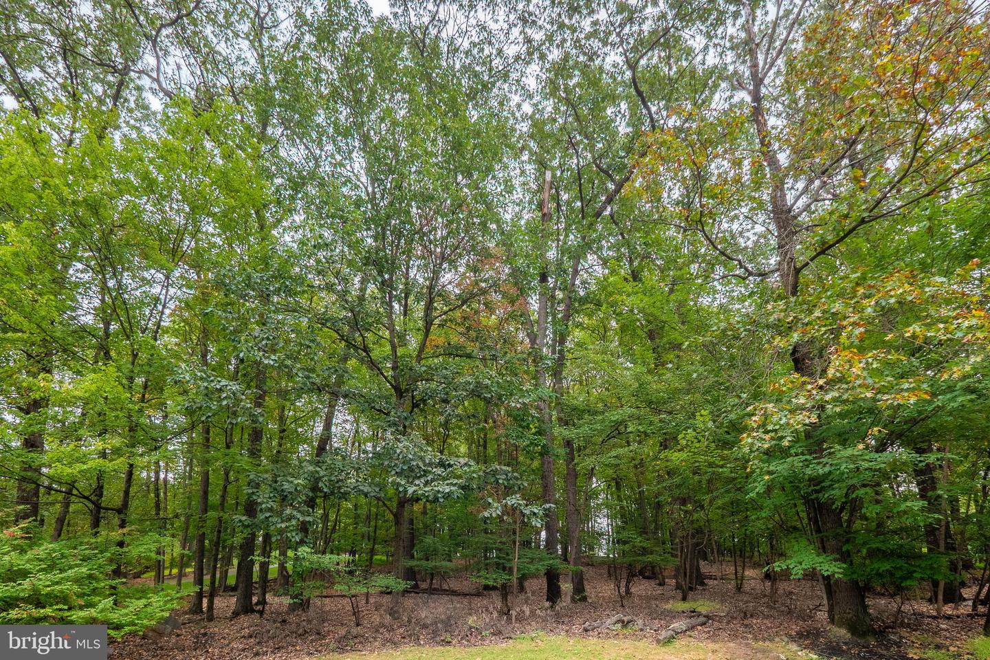 2550 Ballybunion Property Photo 7