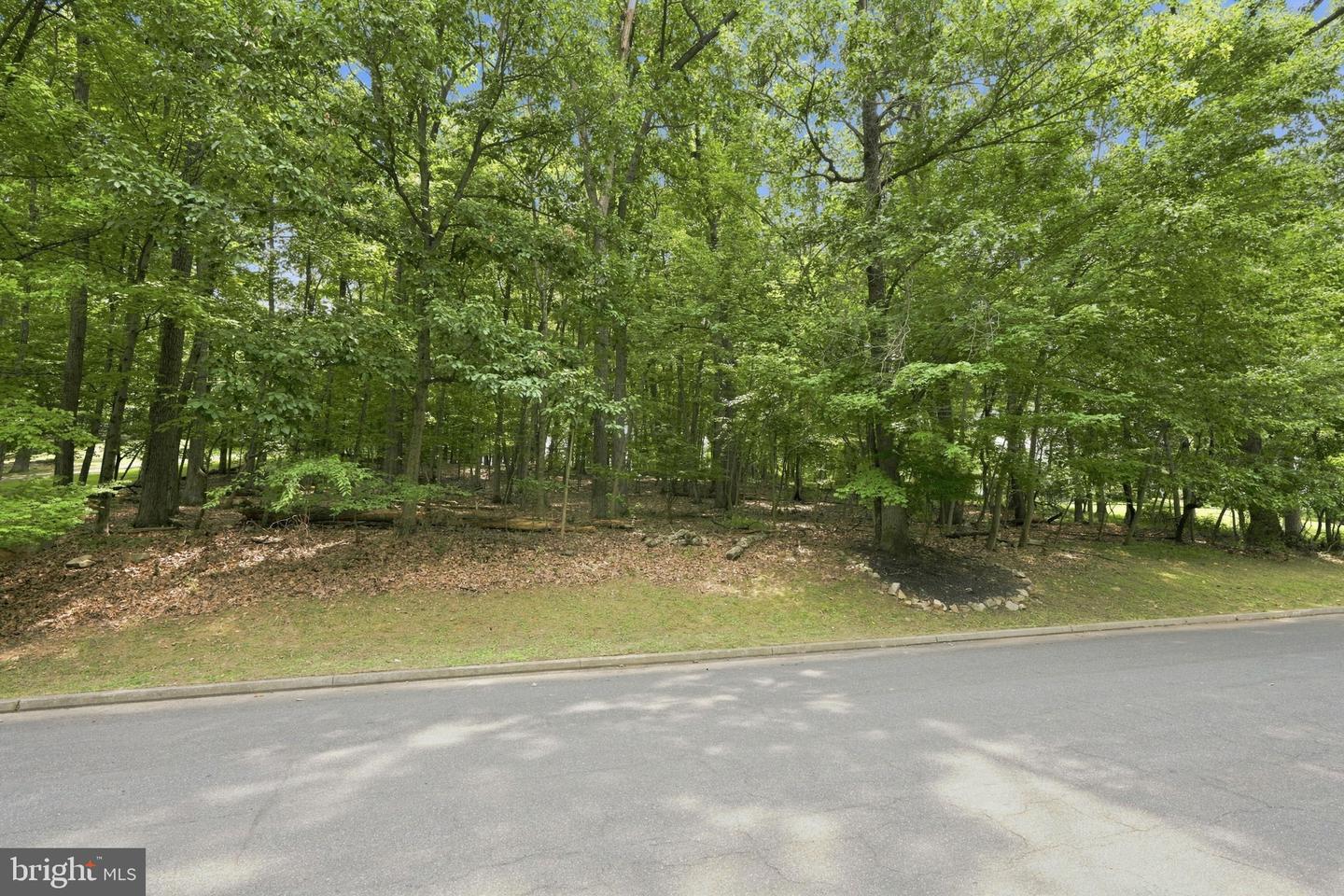 2550 Ballybunion Property Photo 8