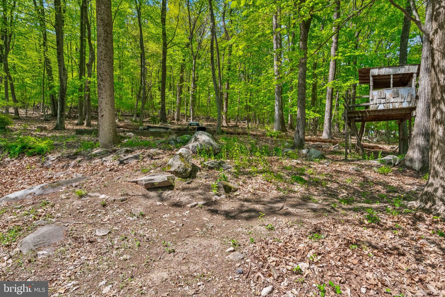 1620 Bobalew Trl Property Photo 34