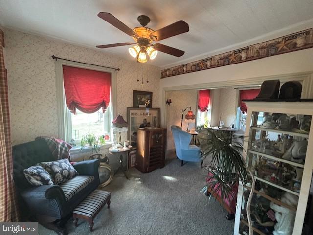 7610 Saegersville Rd Property Photo 8