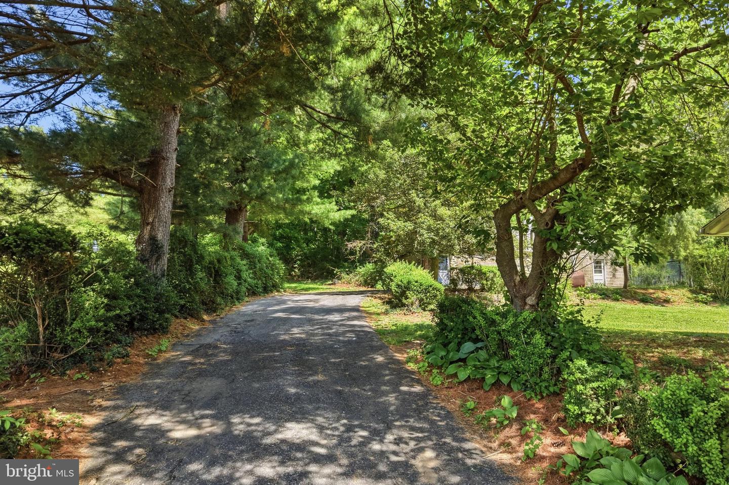 1480 Pennsylvania Ave Property Photo 40