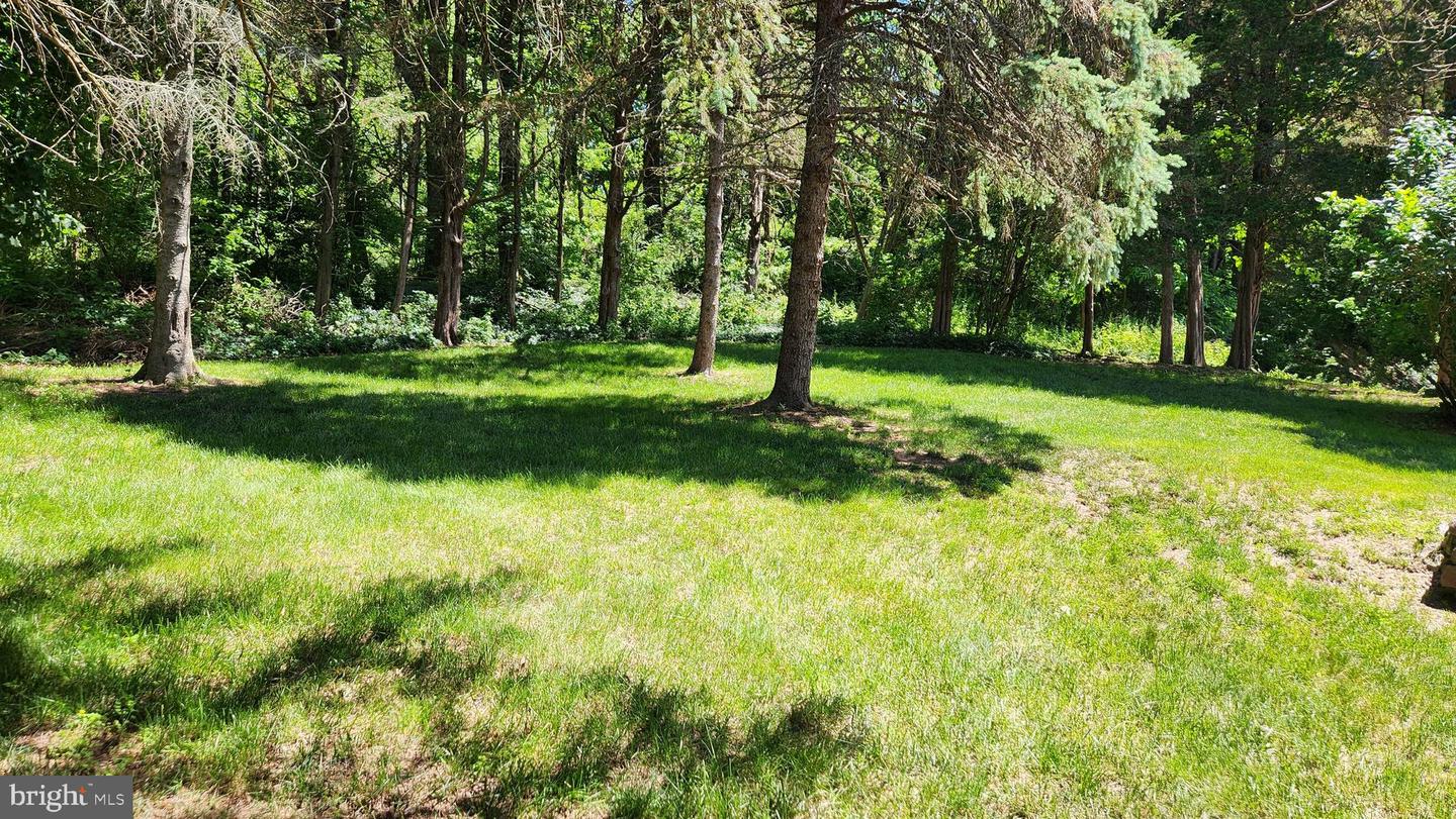 4912 Shankweiler Rd Property Photo 60