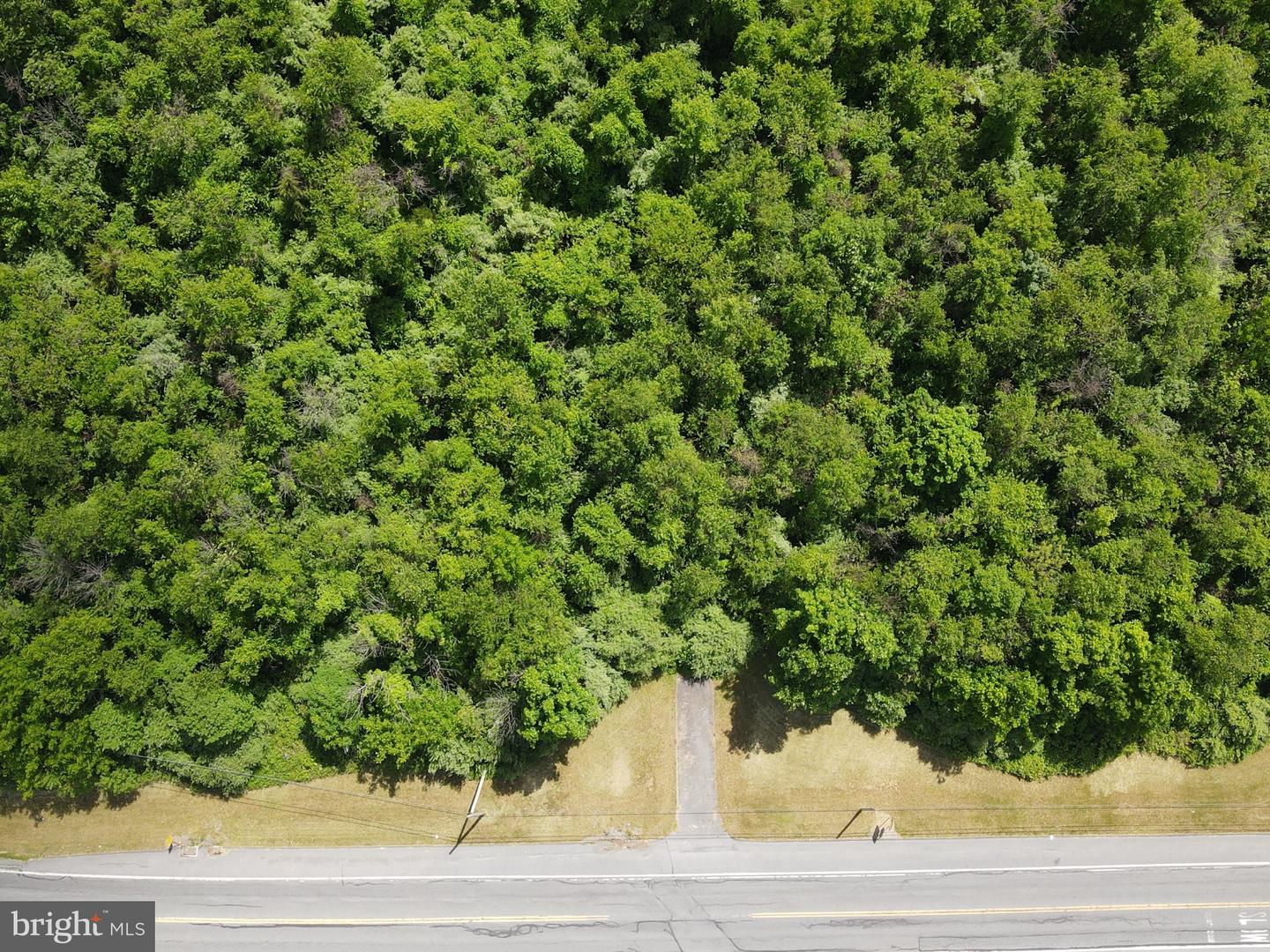 3603 Rip Ct Property Photo 9
