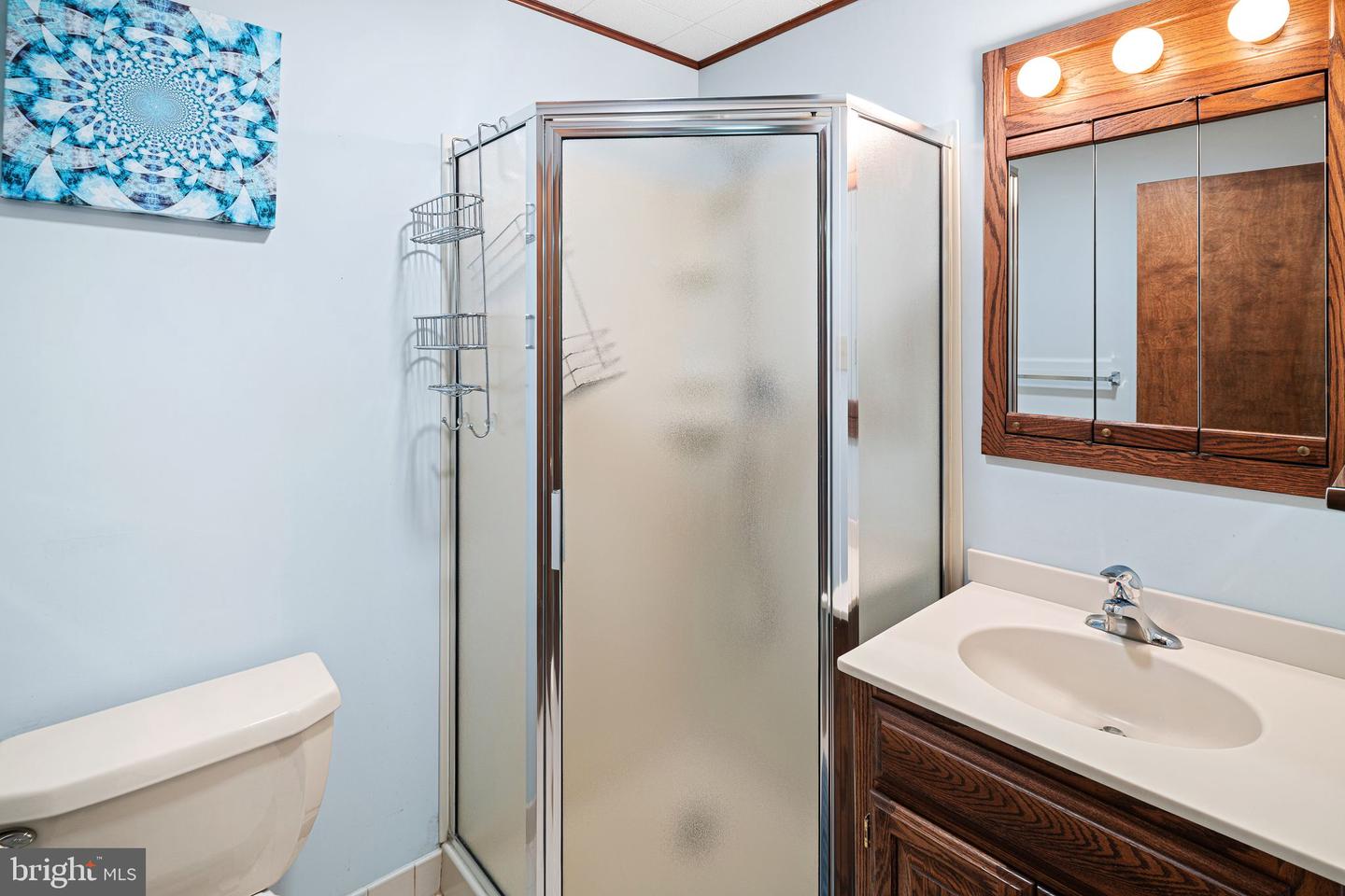 2705 W Chew St Property Photo 42