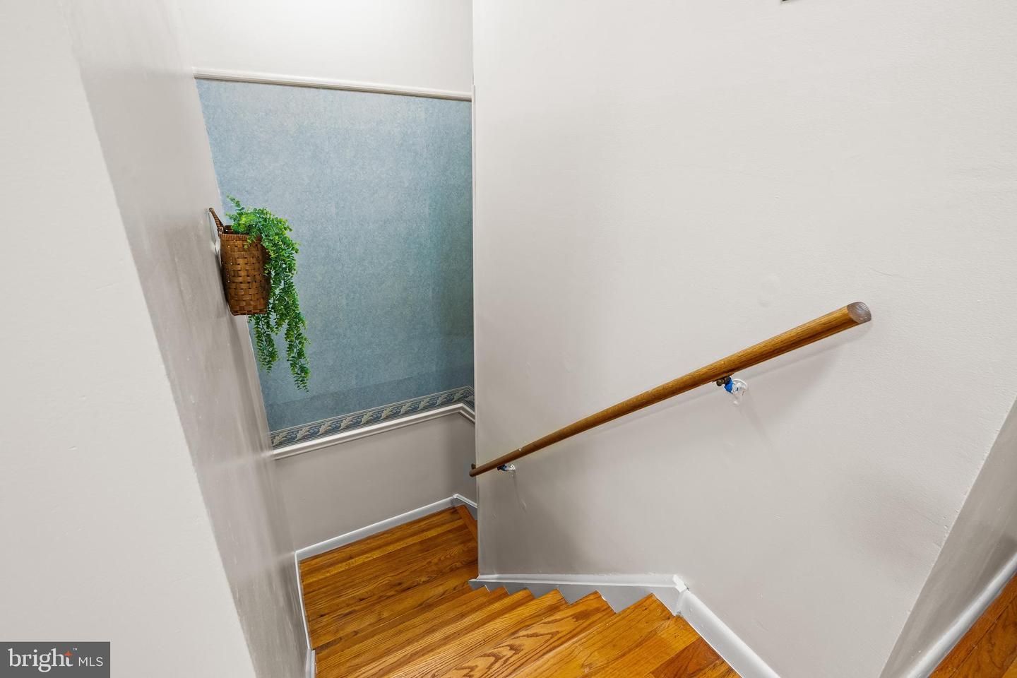 52 Willow St Property Photo 16