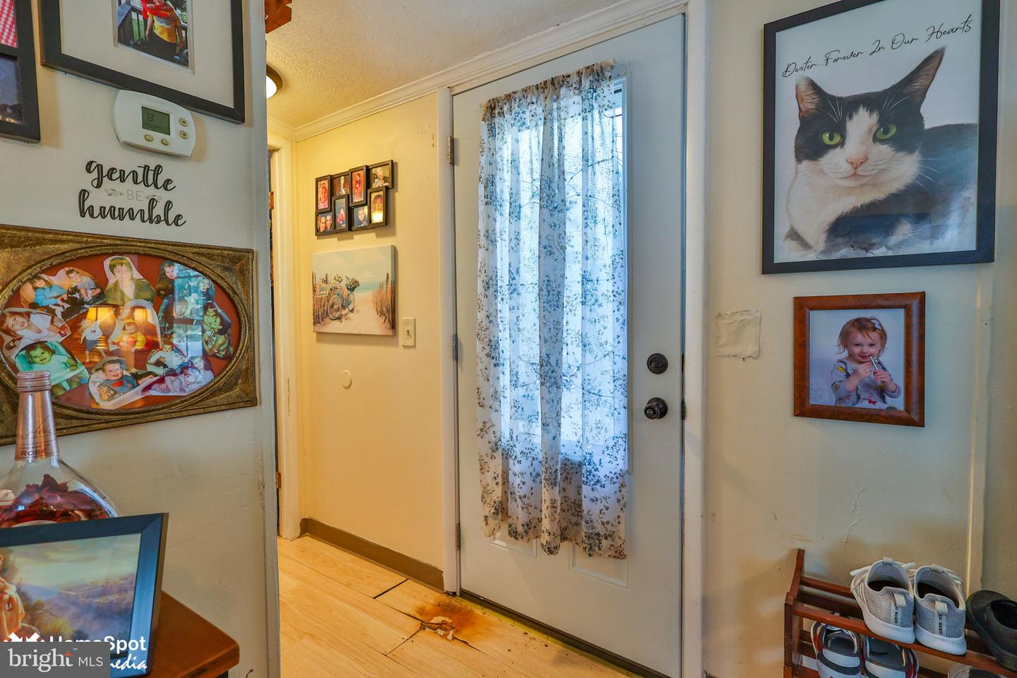 3461 Wolf Pack Dr Property Photo 5