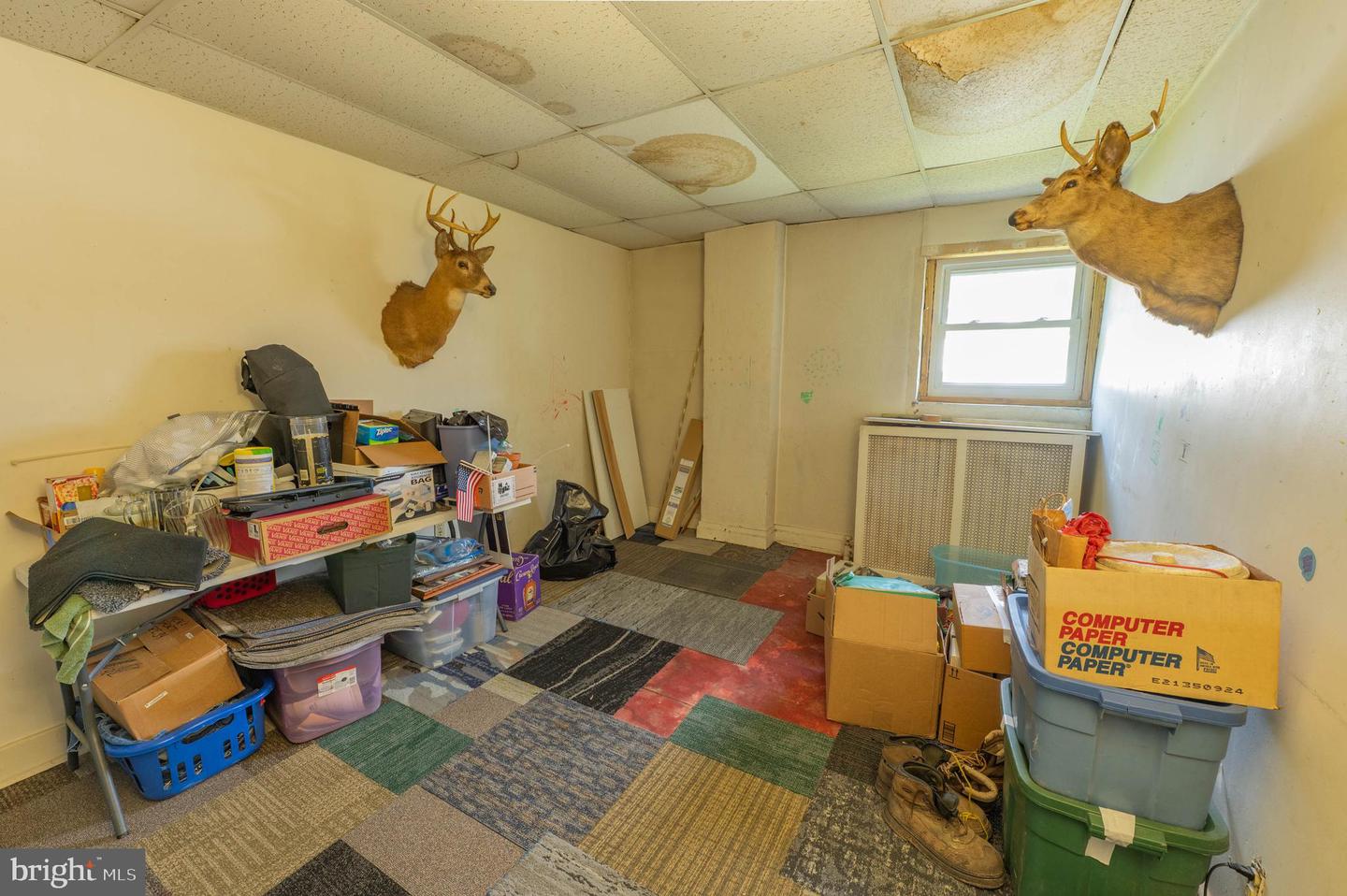 310 S 6th St Property Photo 4