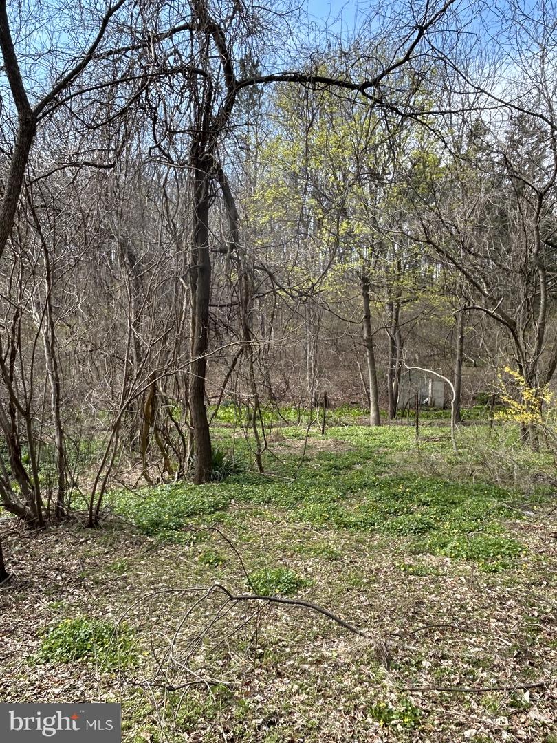 1846 & 1898 Independent Rd Property Photo 5