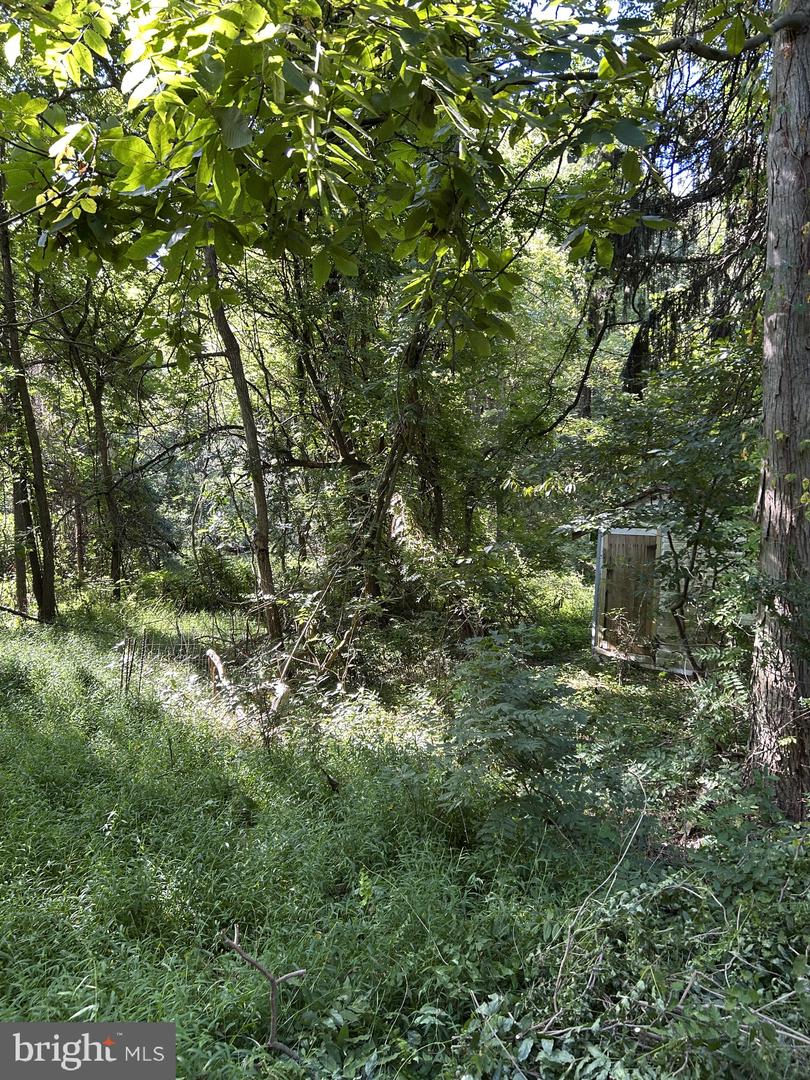 1846 & 1898 Independent Rd Property Photo 10
