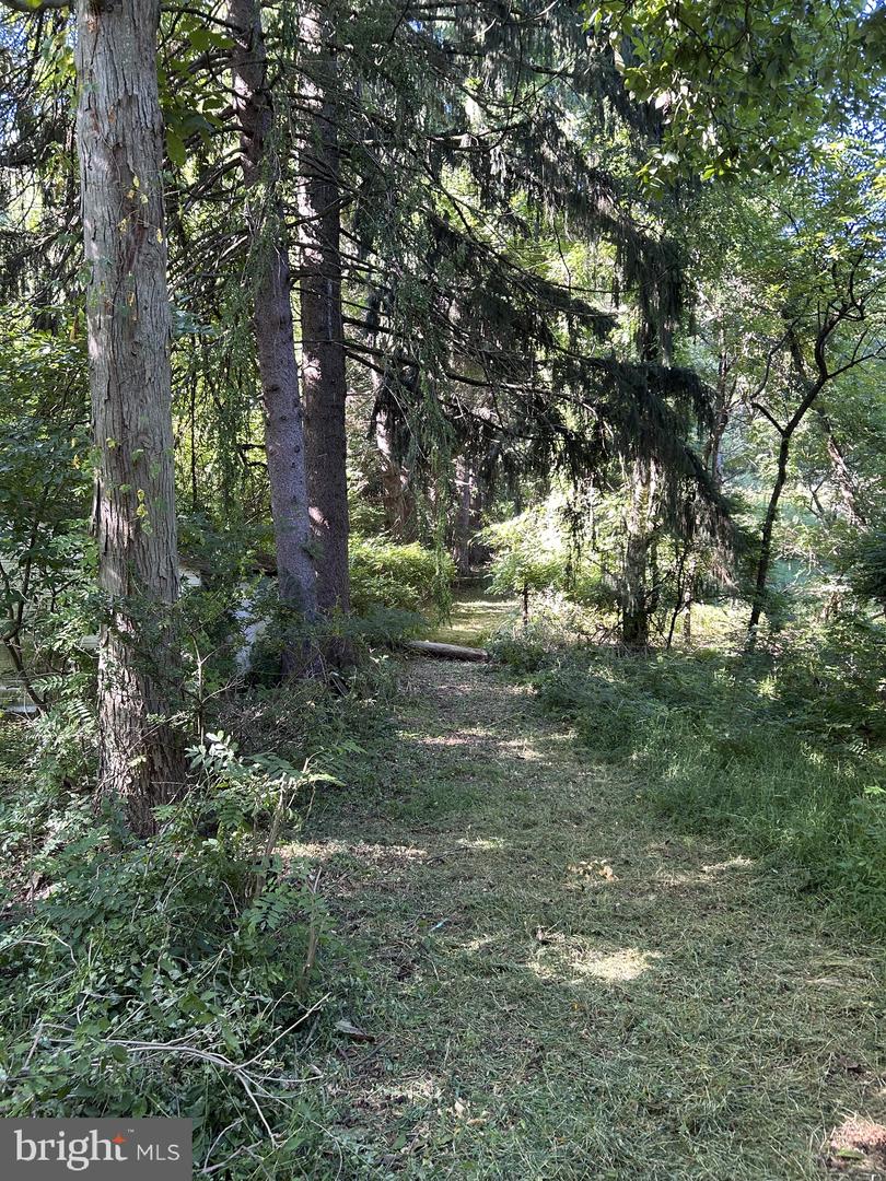 1846 & 1898 Independent Rd Property Photo 14