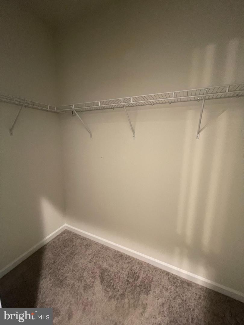 516 Gray Feather Way Property Photo 23