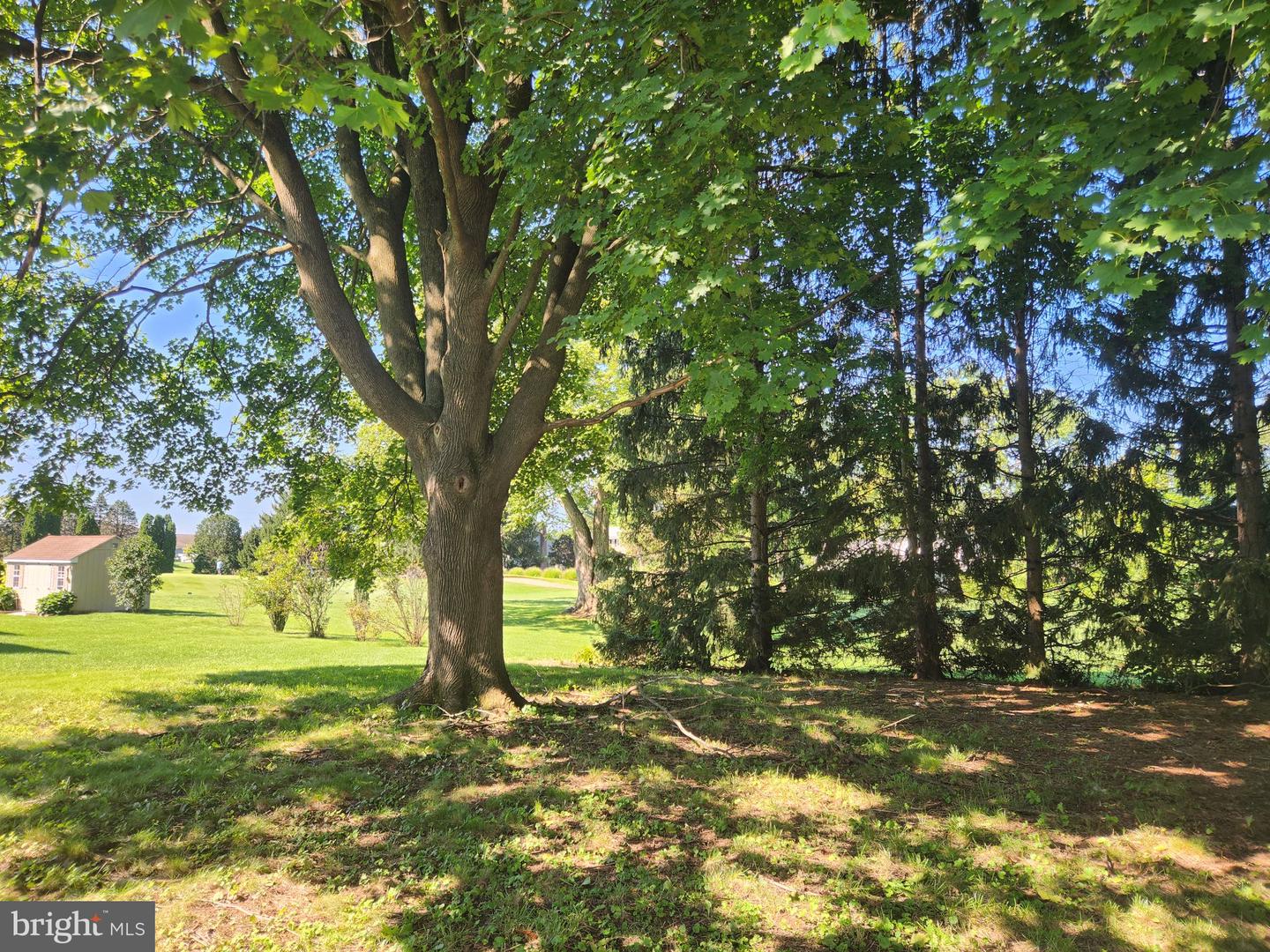 1464 Krocks Rd S Property Photo 12