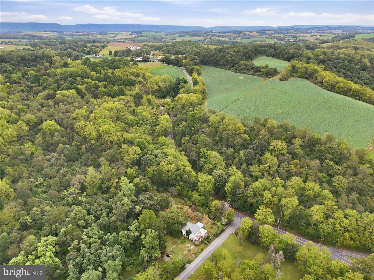 7007 Bausch Rd Property Photo 70