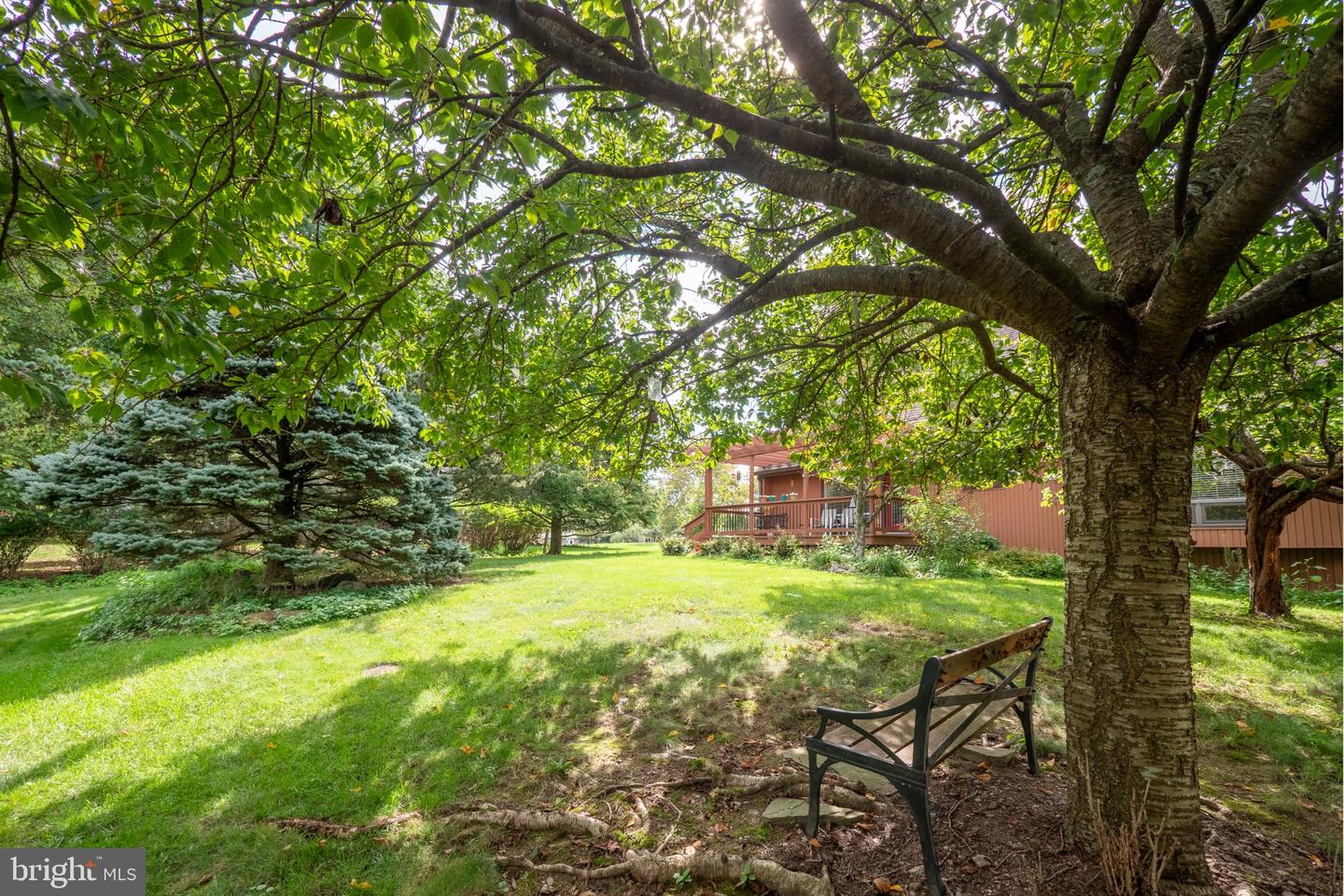 7942 Woodsbluff Run Property Photo 30