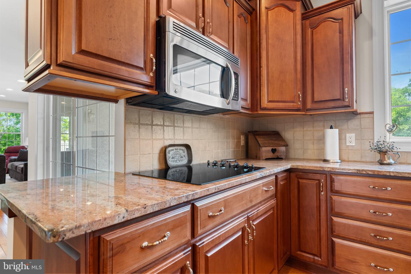 3940 Whitetail Ct Property Photo 29
