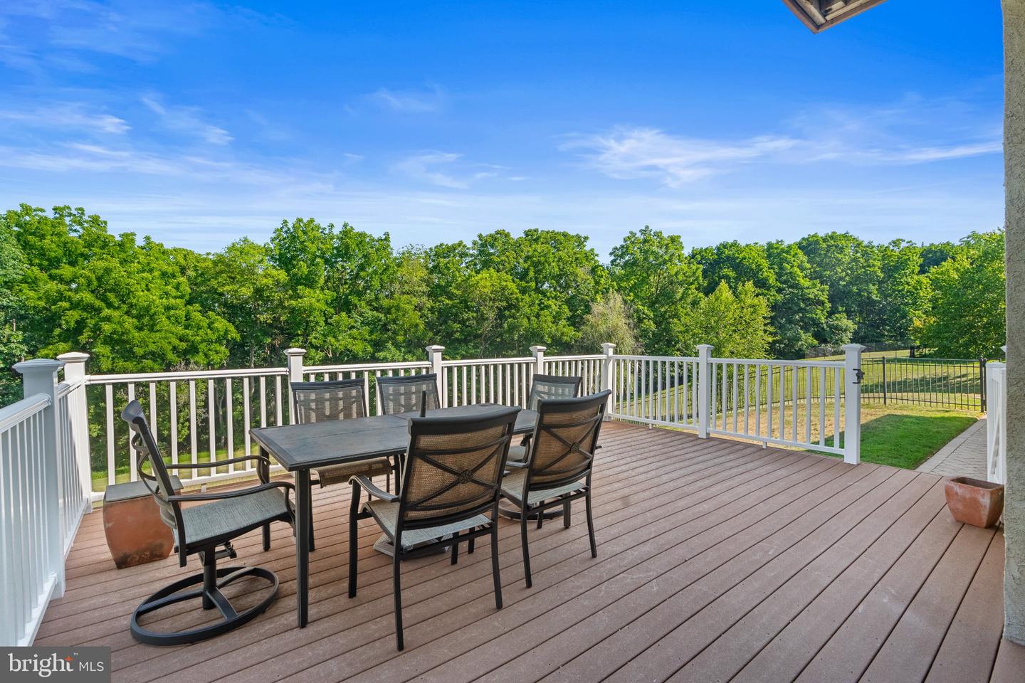 3940 Whitetail Ct Property Photo 64