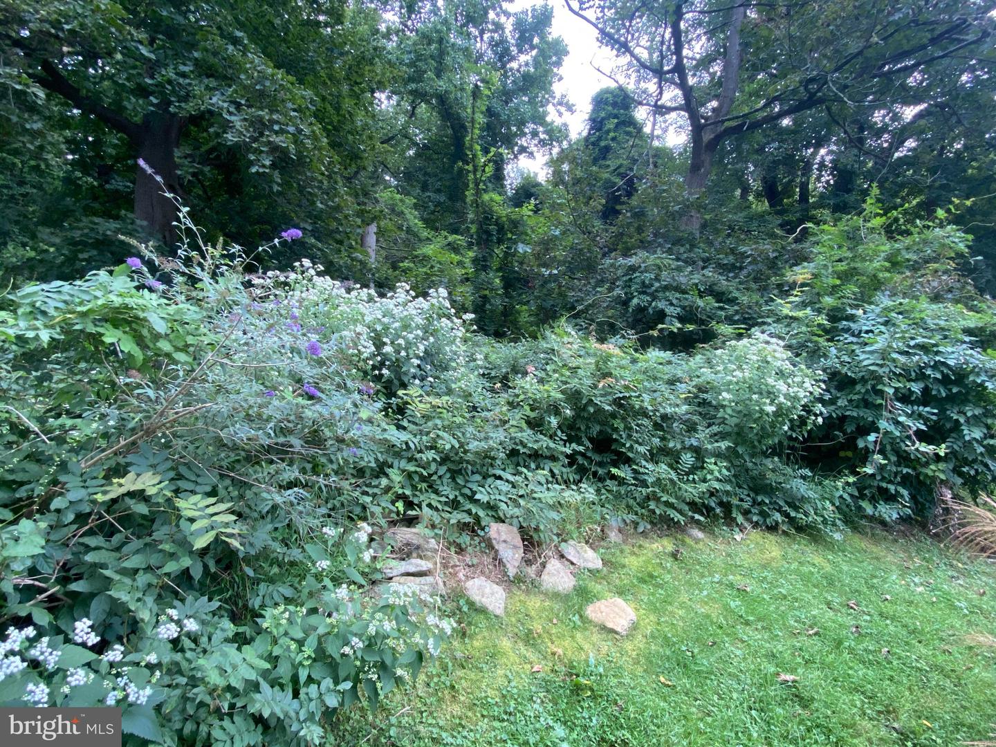 811 Forrest St Property Photo 5