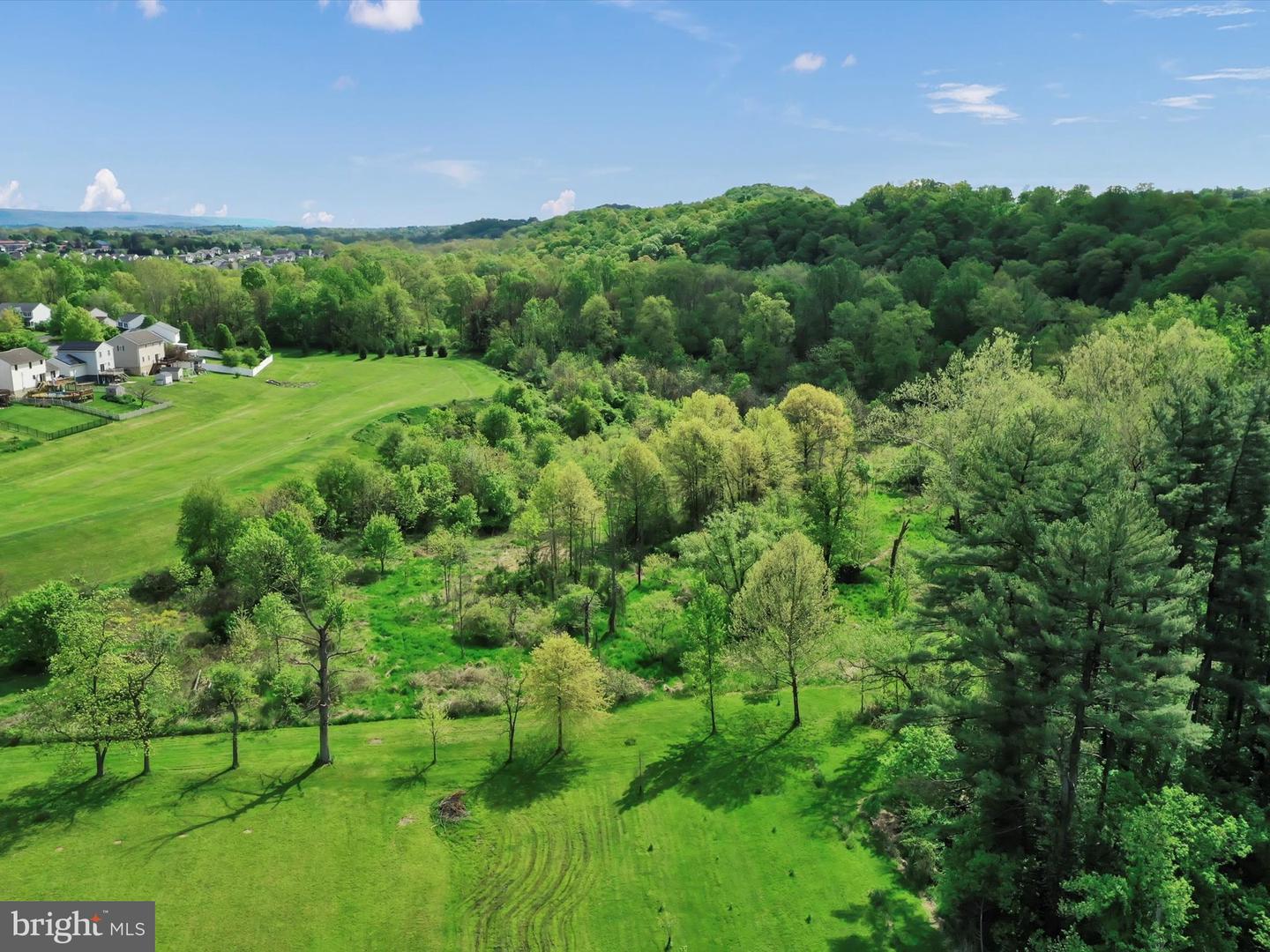 Lot #49 Ss Shepherd St Property Photo 8