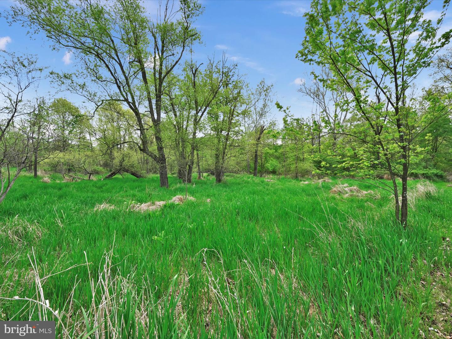 Lot #49 Ss Shepherd St Property Photo 13