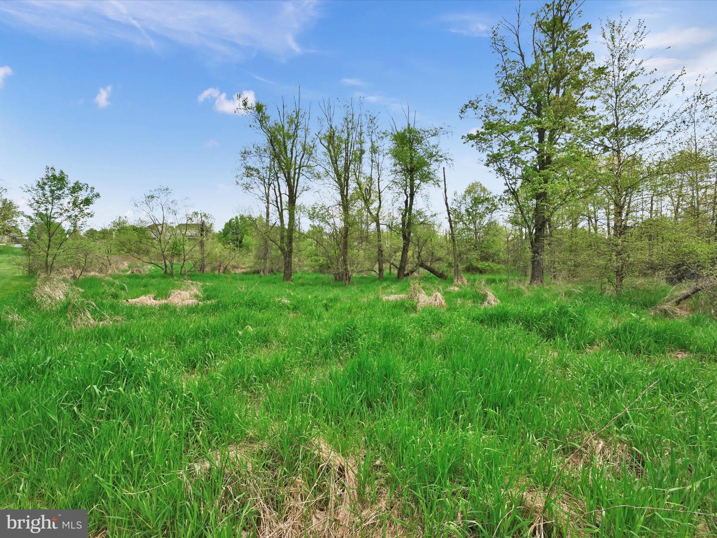 Lot #49 Ss Shepherd St Property Photo 14