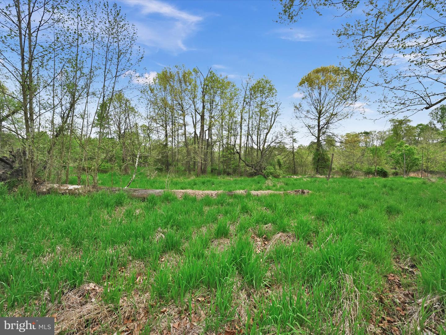 Lot #49 Ss Shepherd St Property Photo 15