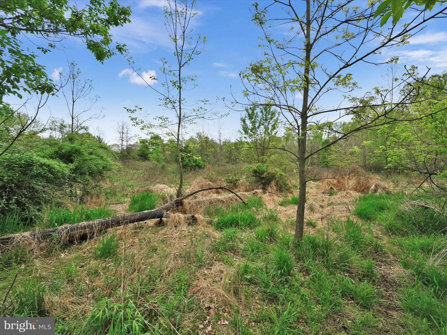Lot #49 Ss Shepherd St Property Photo 16