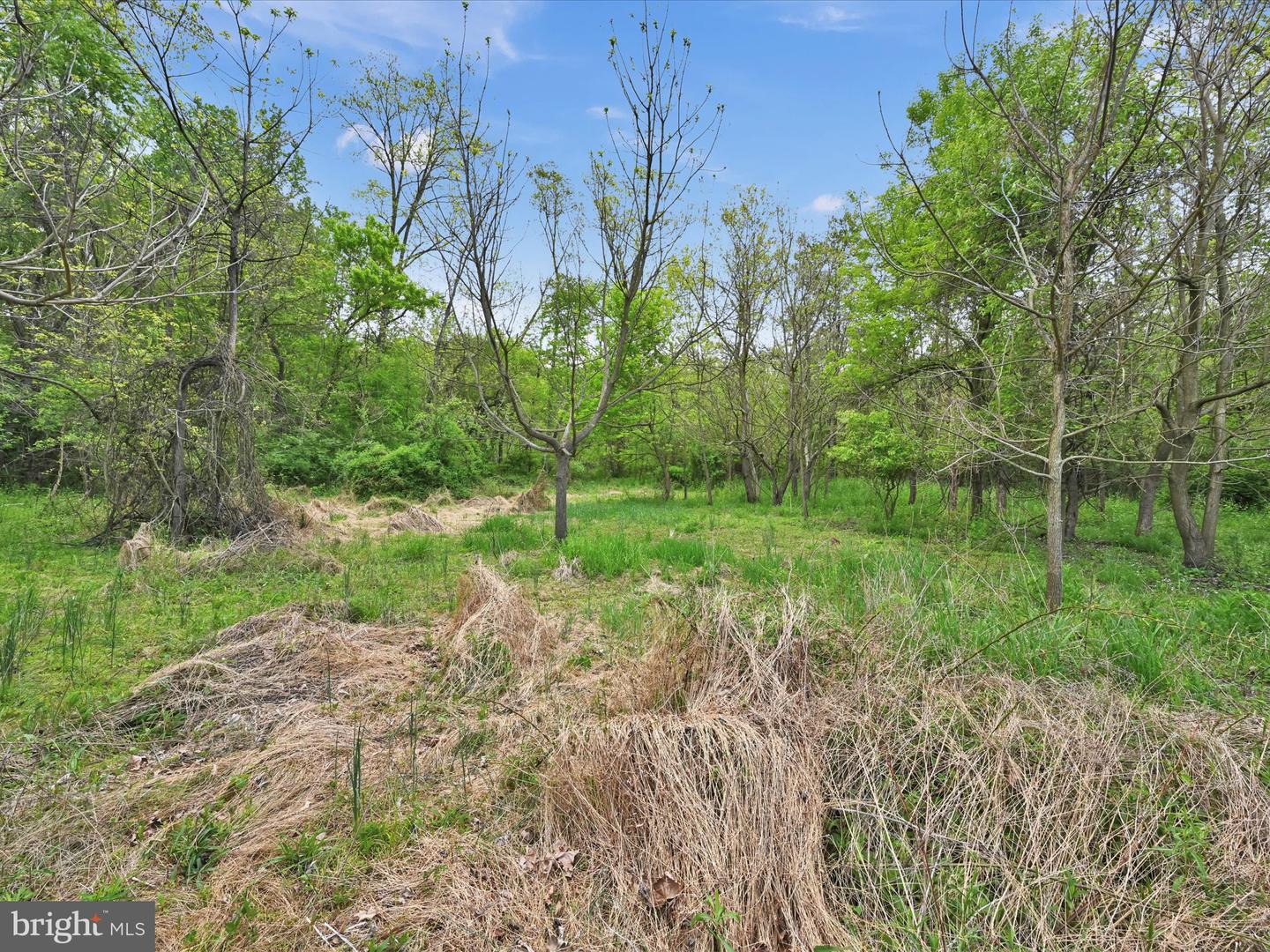 Lot #49 Ss Shepherd St Property Photo 17