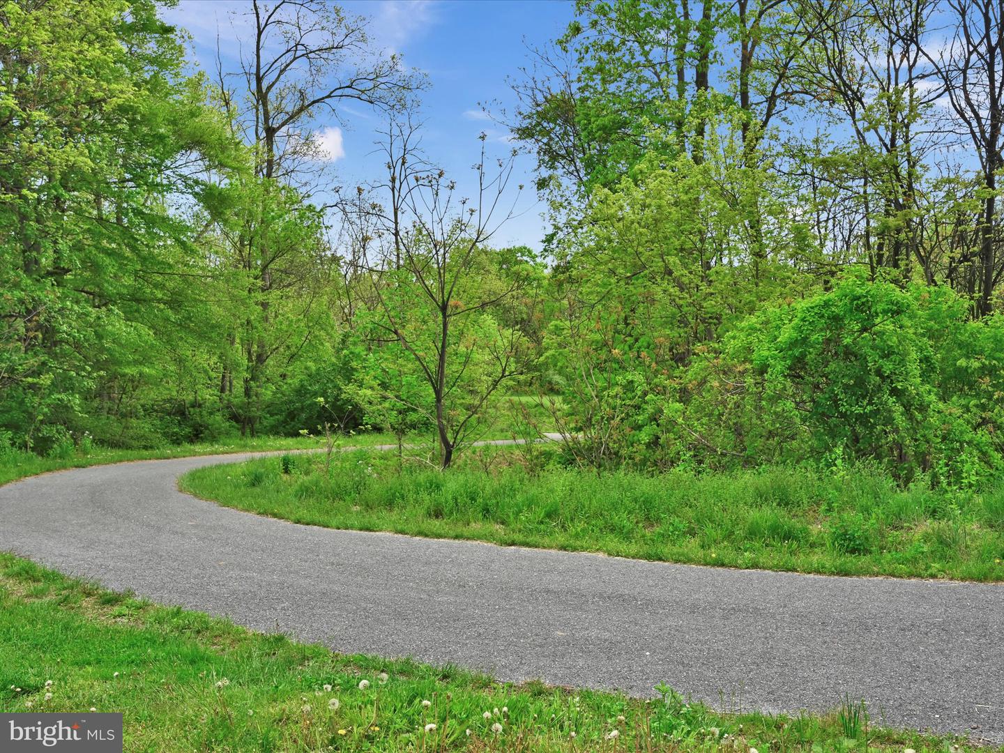 Lot #49 Ss Shepherd St Property Photo 21