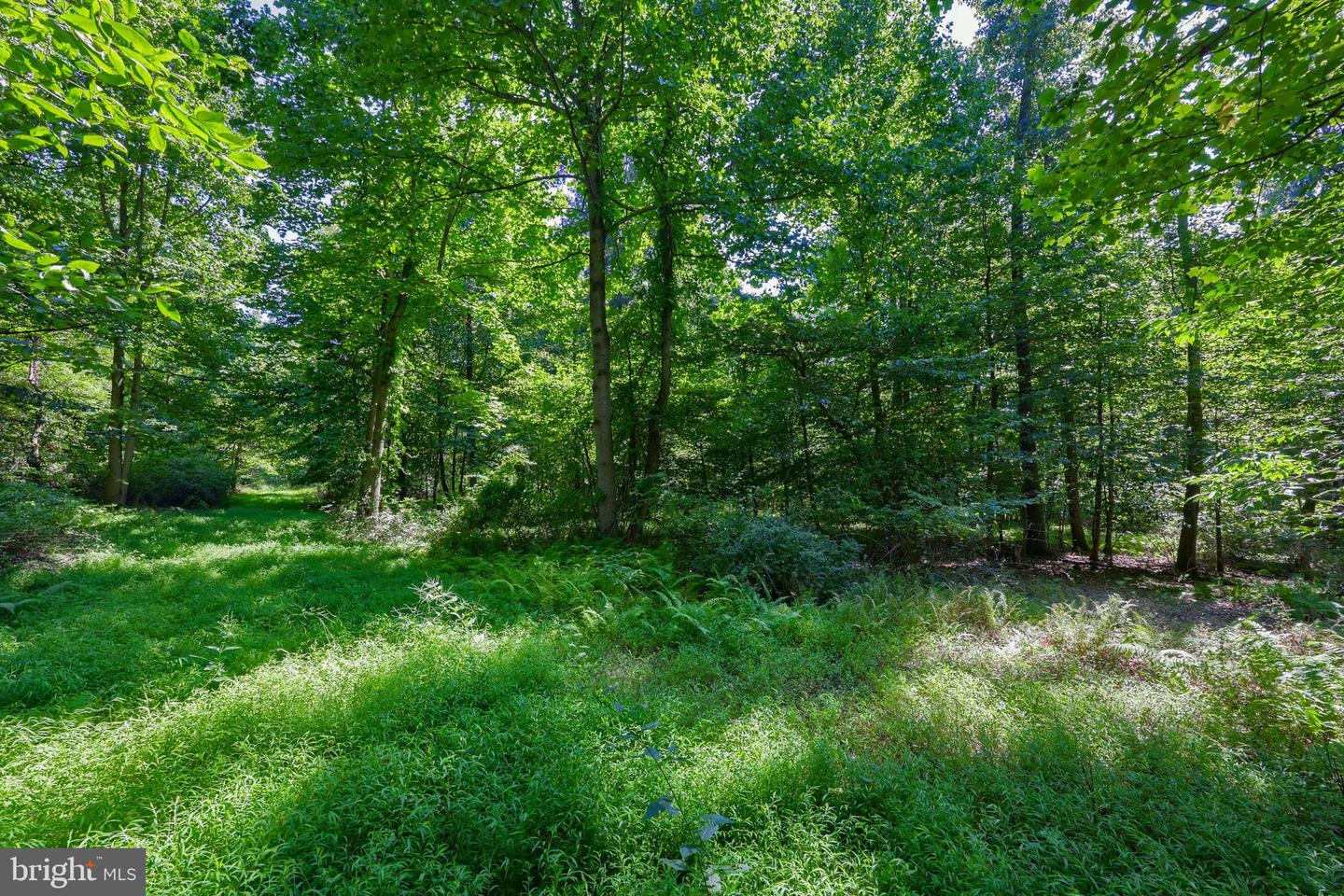 825 Mine Rd Property Photo 5