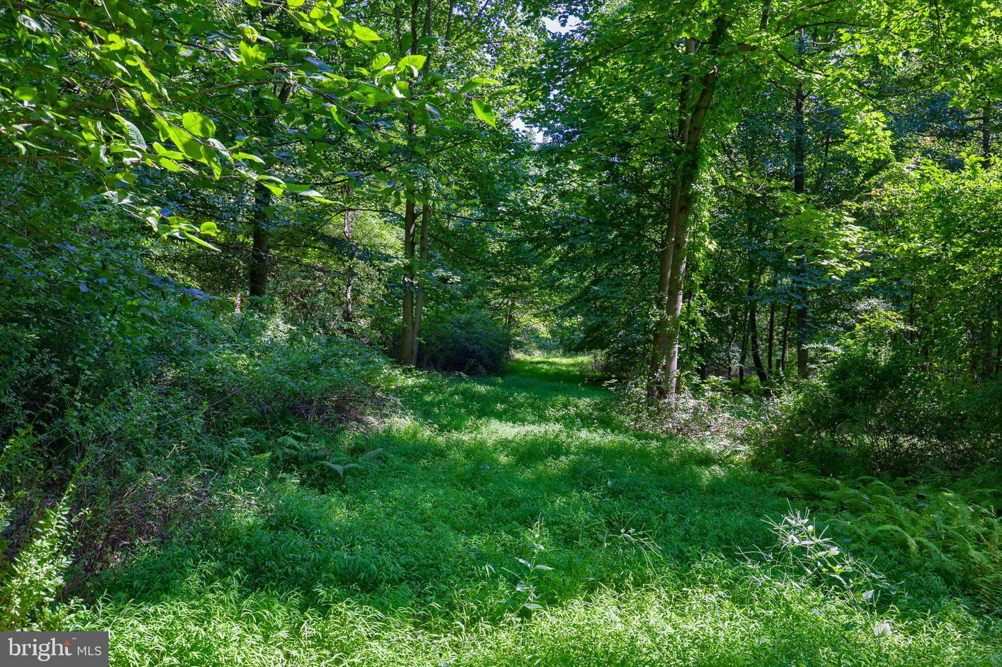 825 Mine Rd Property Photo 7