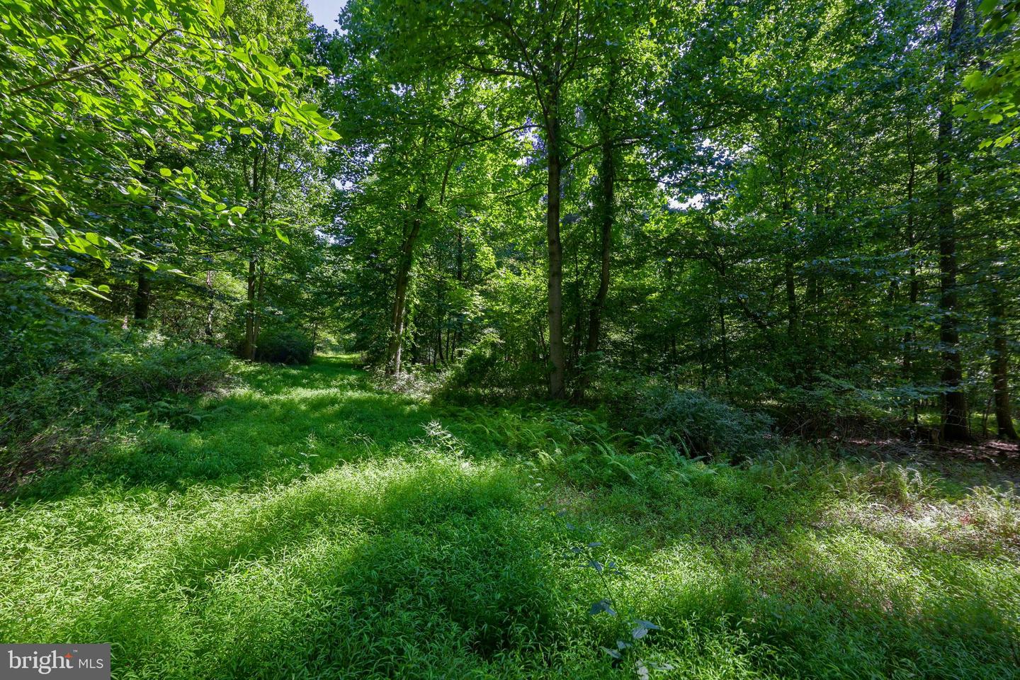 845 Mine Rd Property Photo 5