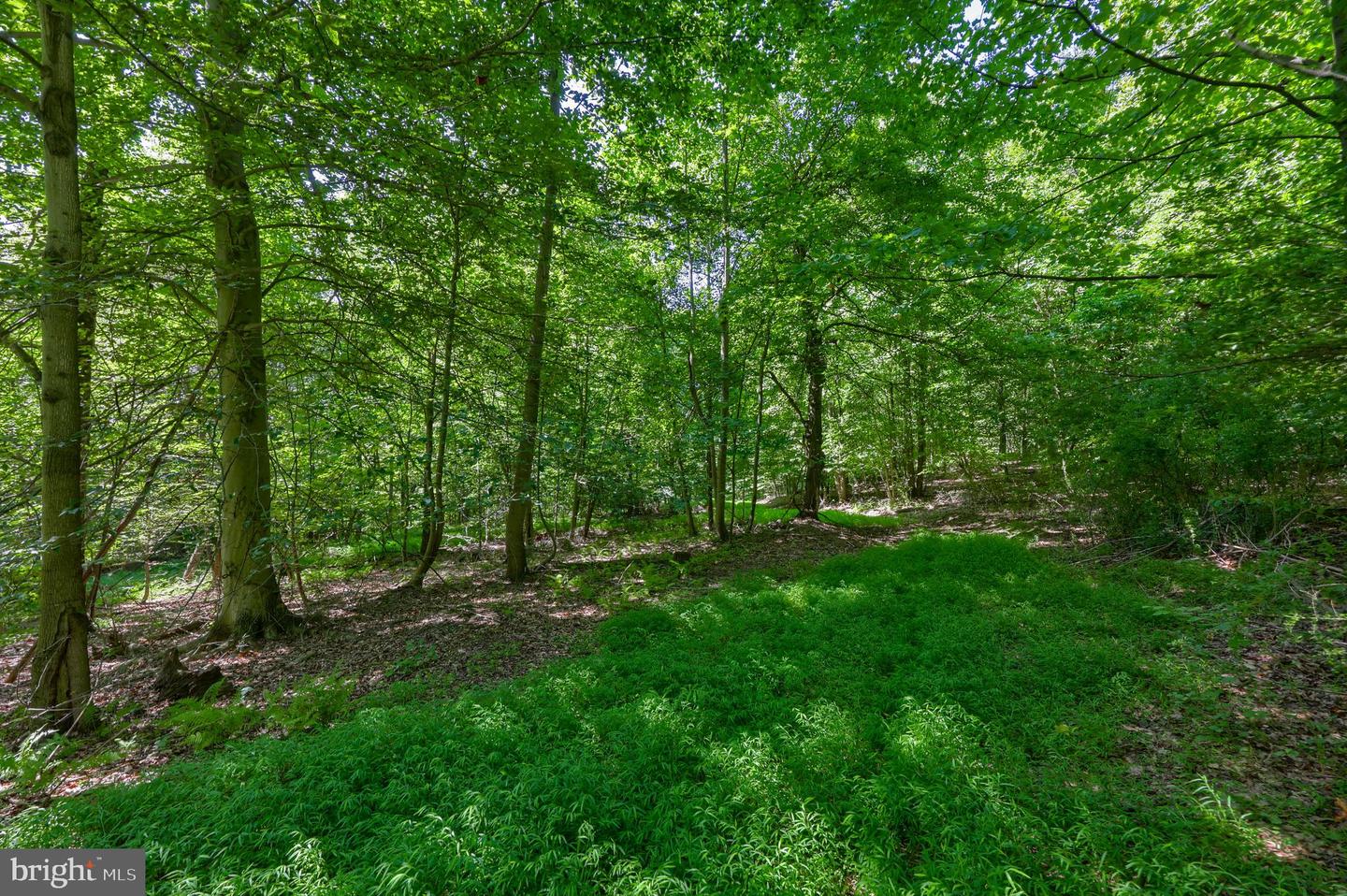 845 Mine Rd Property Photo 6