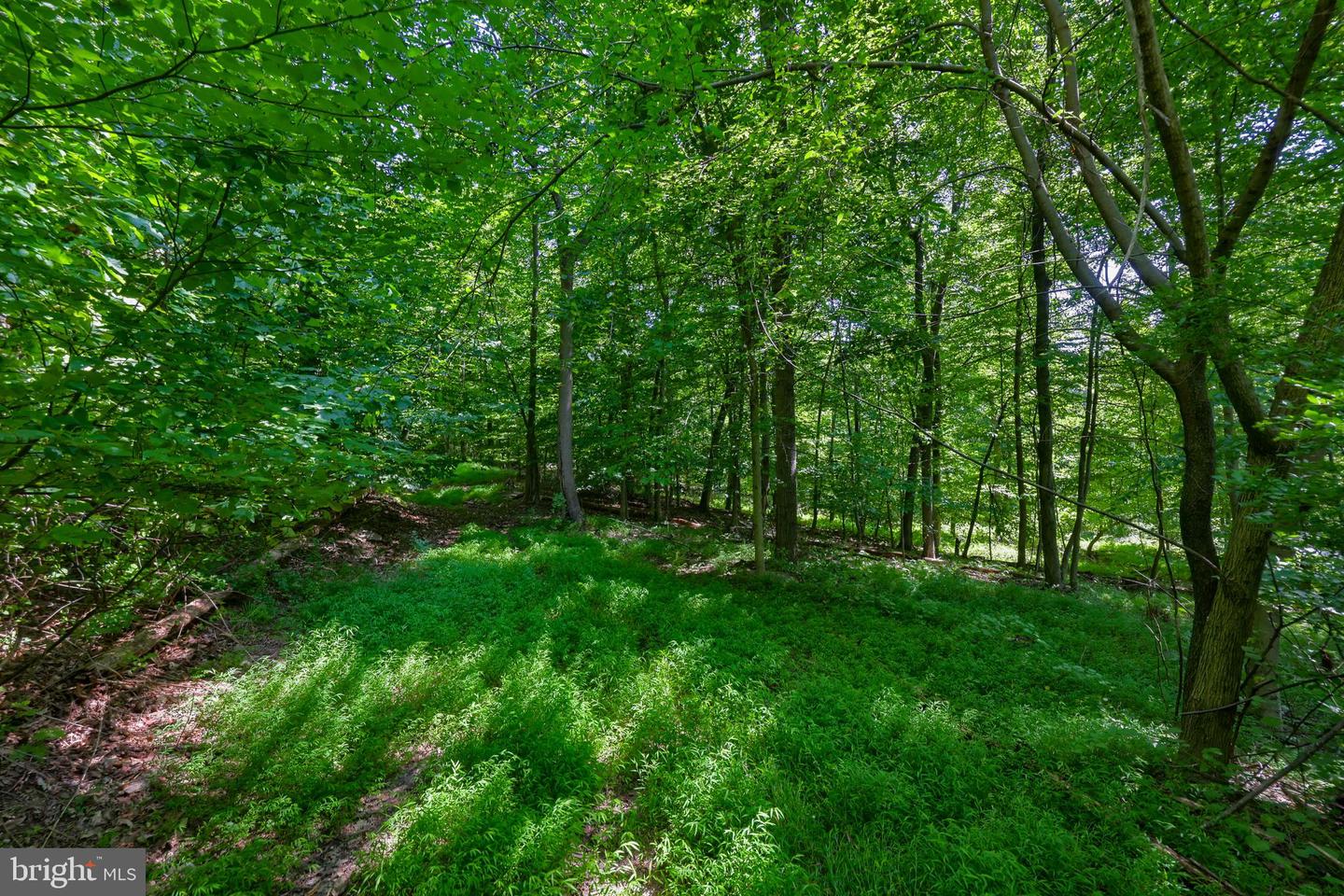 845 Mine Rd Property Photo 8