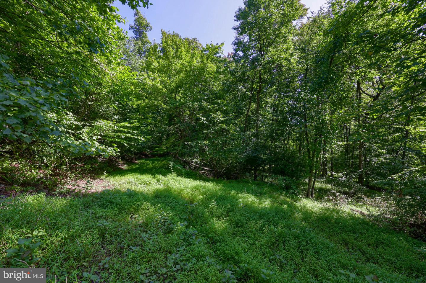 845 Mine Rd Property Photo 9