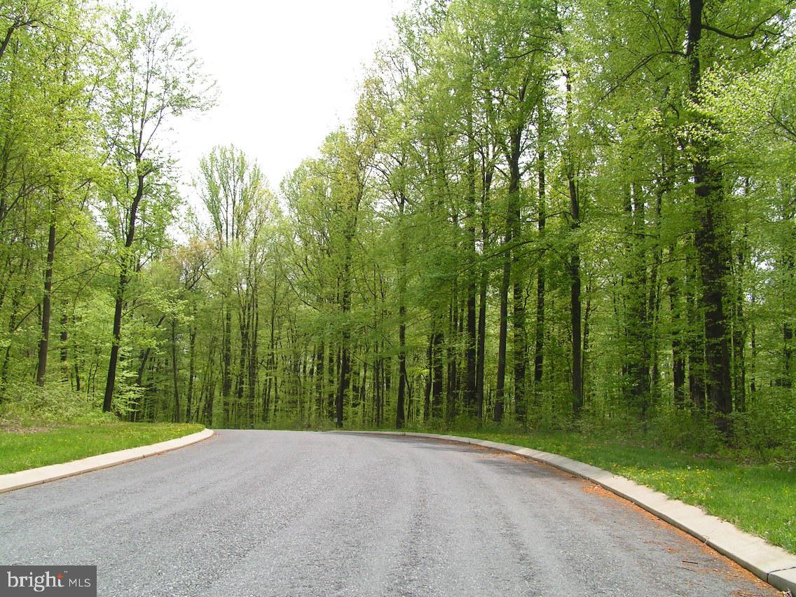 Lot 13 Mockingbird Ln Property Photo 2