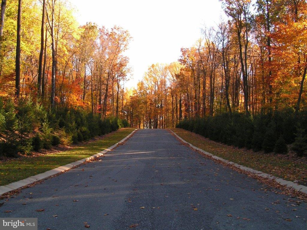 Lot 13 Mockingbird Ln Property Photo 3