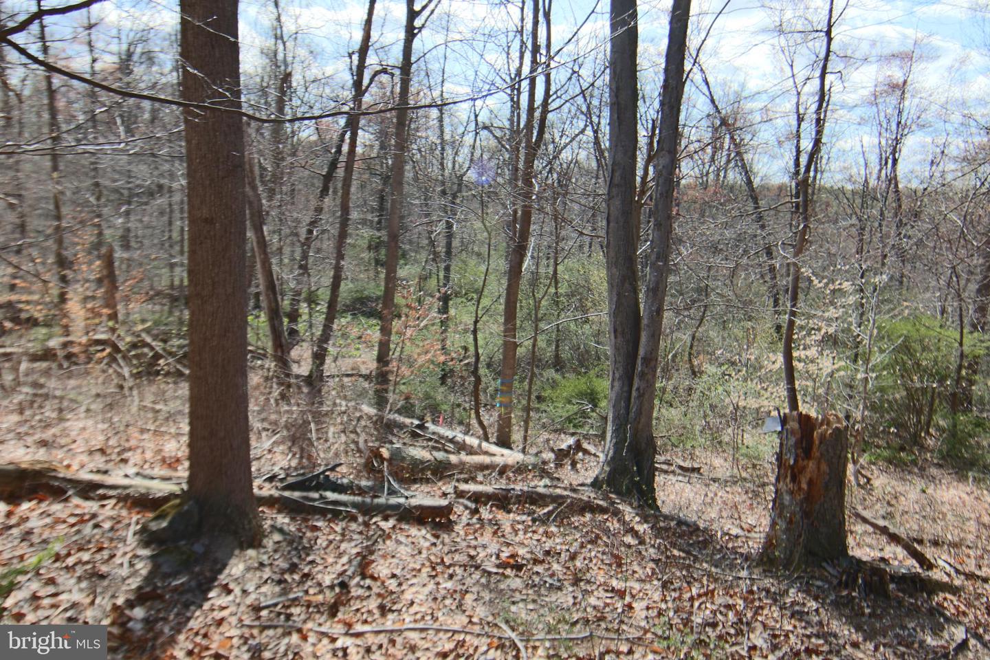 0 S Forge Road Property Photo 1