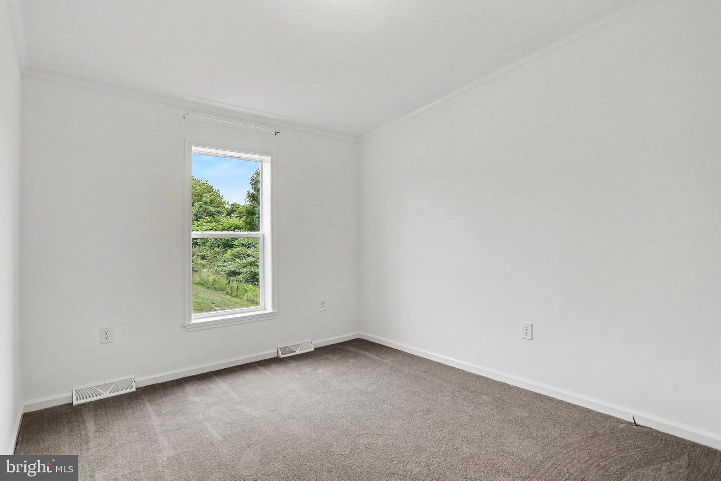 20 Evergreen Aly Property Photo 26