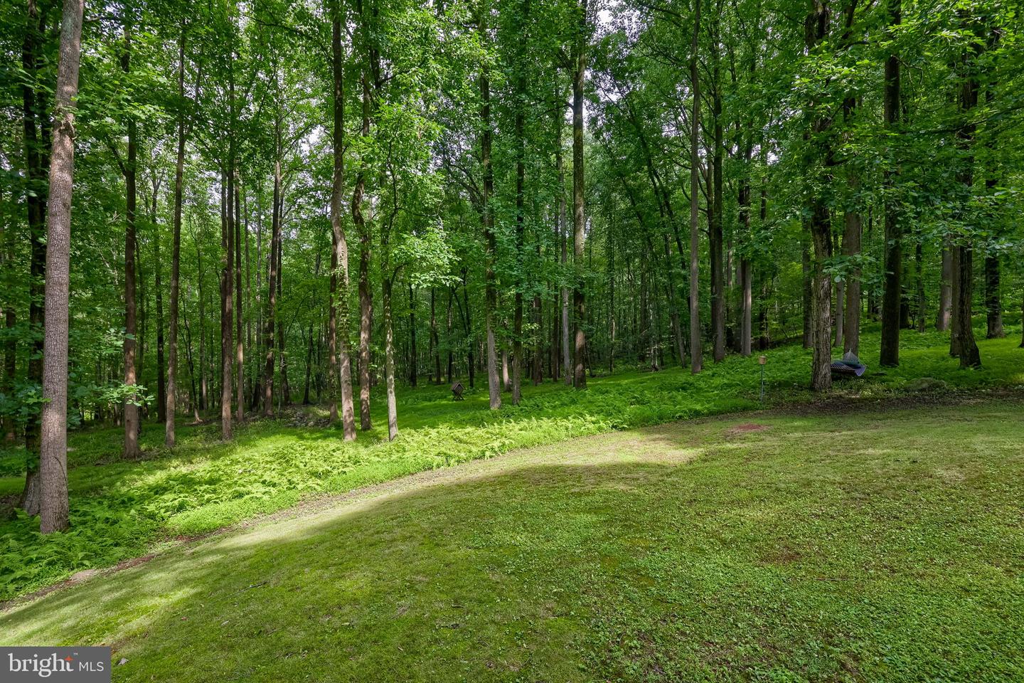 1231 Ash Ln Property Photo 24