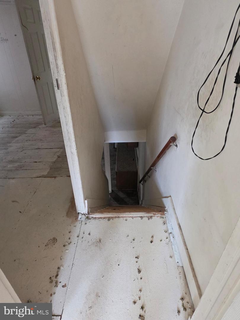 916 Elizabeth St Property Photo 13