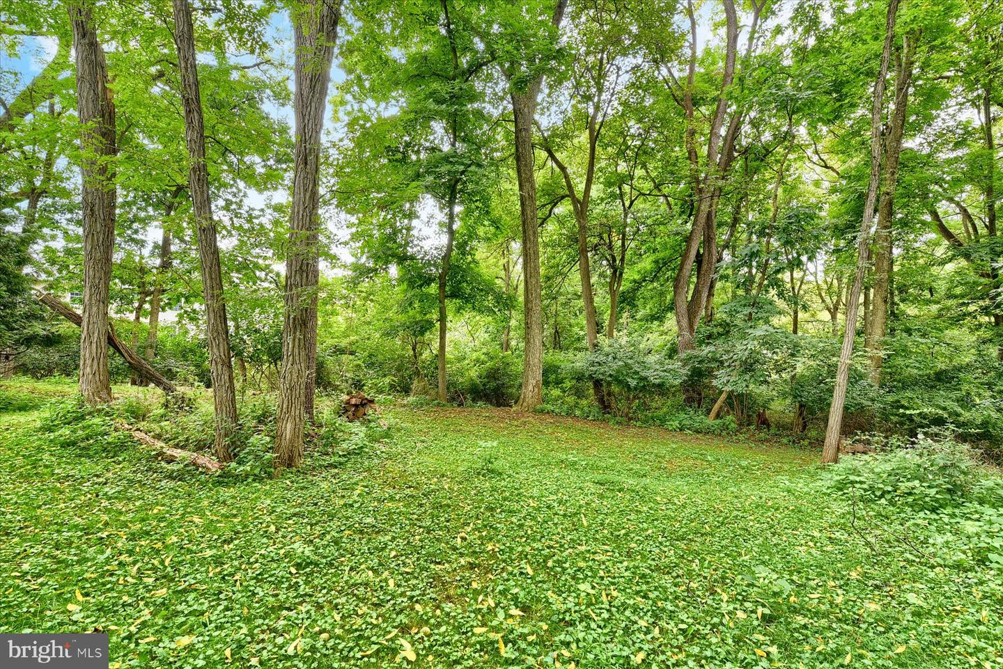205 S Long St Property Photo 41