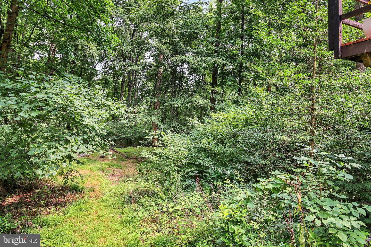 607 Aspen Ln Property Photo 56