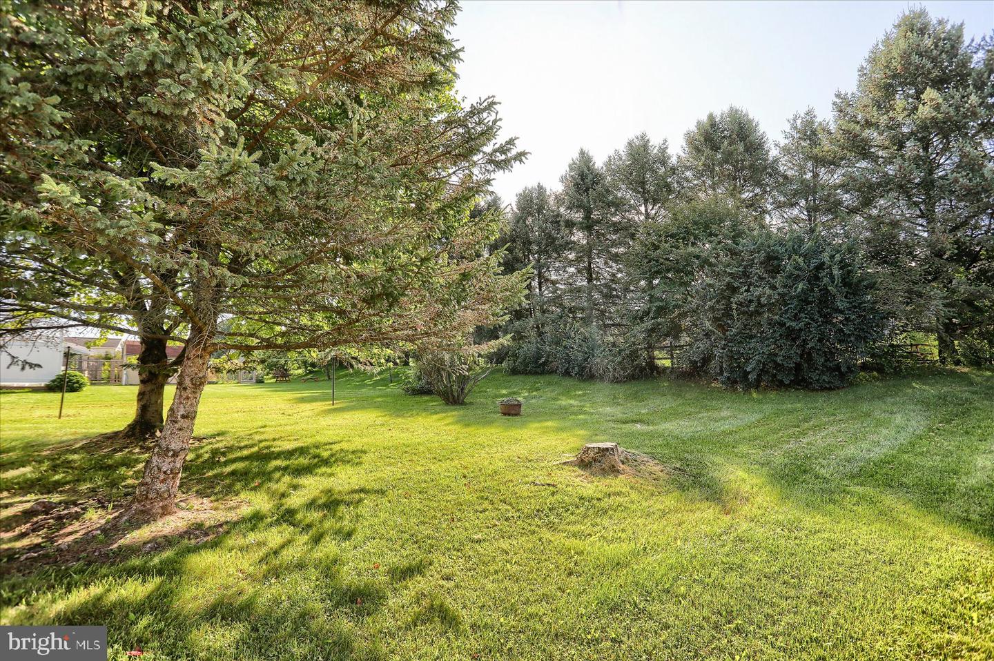 22 Treeline Dr Property Photo 33